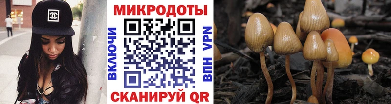 купить   Тольятти  Псилоцибиновые грибы мицелий 