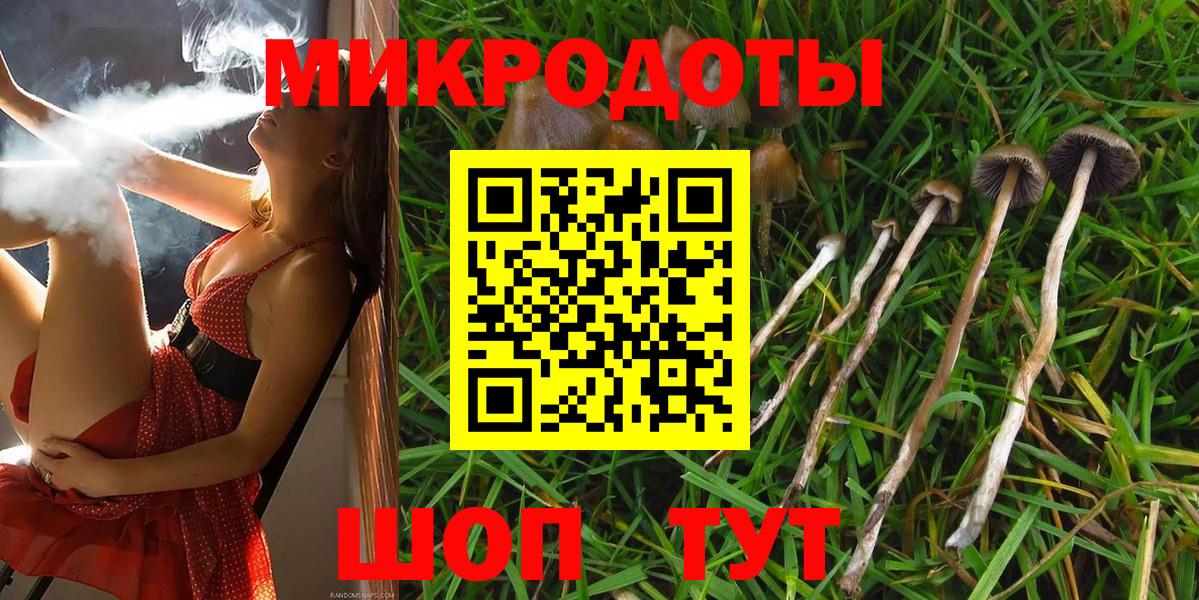Псилоцибиновые грибы GOLDEN TEACHER  Вход с VPN  Тольятти 