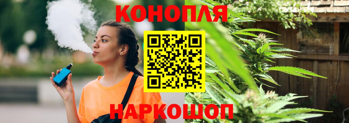 Бошки марихуана план  Тольятти  Бошки Шишки Amnesia  Бошки марихуана Bruce Banner 